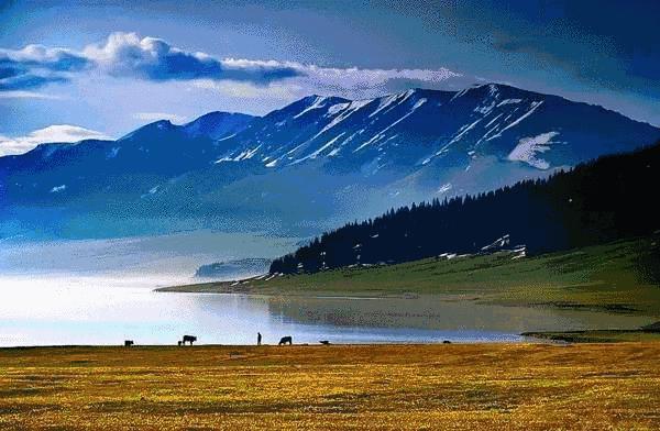 浙江省衢州市养生补贴,衢州旅游景点对全国医护人员免费