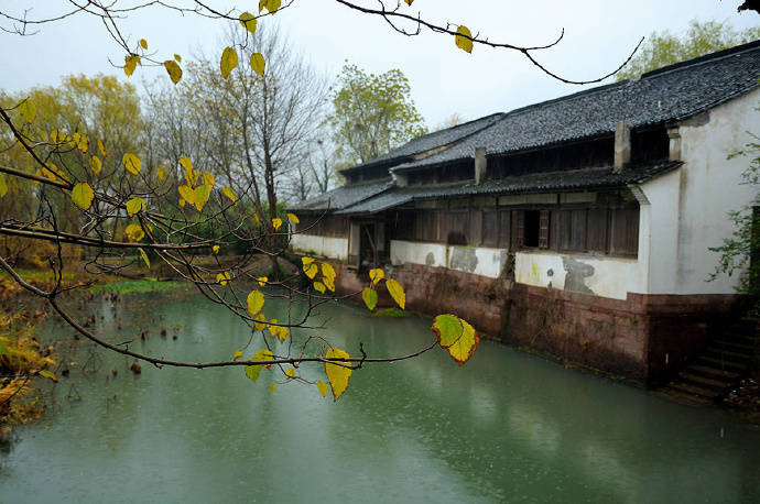 关于春天古诗词鉴赏和赏析,描写春天的古诗词名句精选