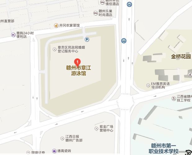 傅园慧全运会游泳比赛视频,宁泽涛和傅园慧在里约热内卢合照