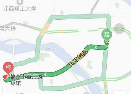 傅园慧全运会游泳比赛视频,宁泽涛和傅园慧在里约热内卢合照