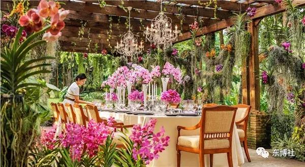 清迈四季酒店摄影,泰国清迈四季酒店