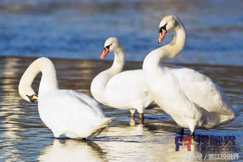 投融界专访国生农牧科技王远孔
