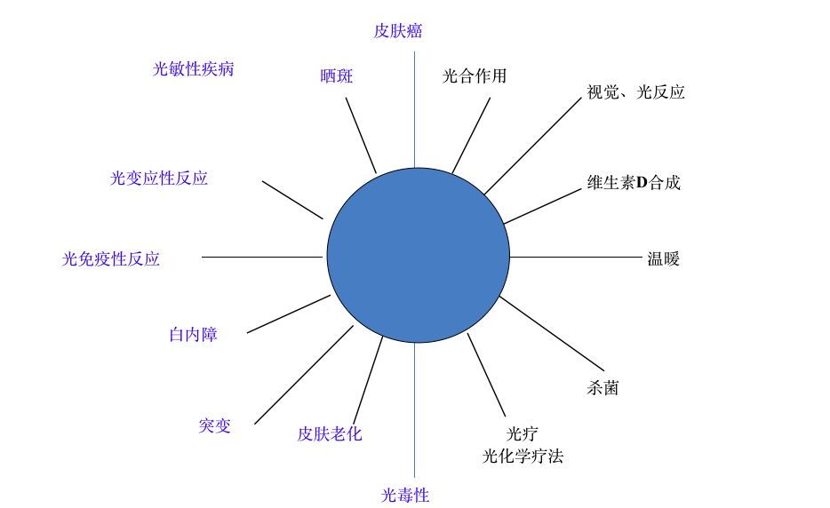 夏季皮肤病护肤,皮肤科医生教你夏季护肤