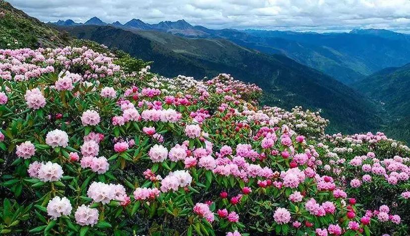 大理每个季节都很美,在大理每天都是那么的美好