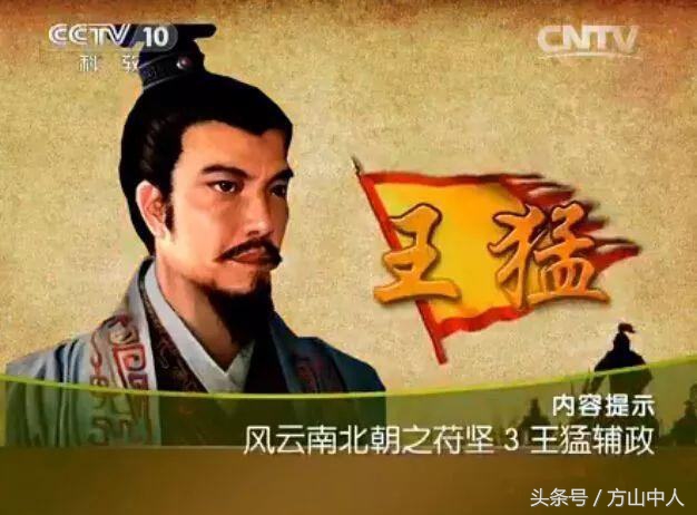 五胡乱华是苻坚结束的吗,五胡乱华曹魏导致的吗