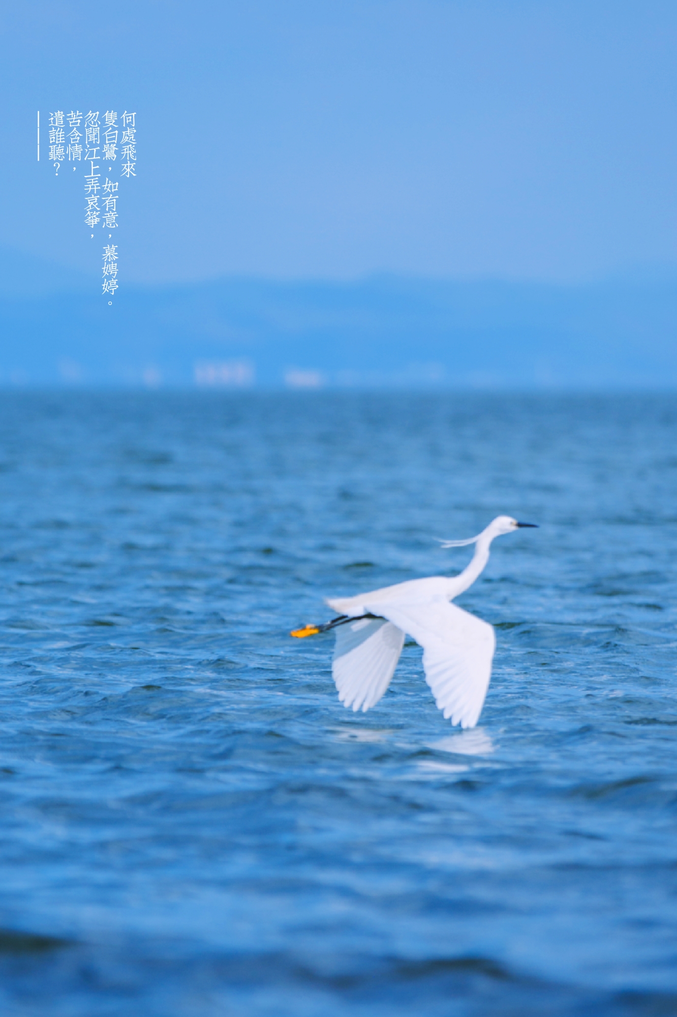 大理每个季节都很美,在大理每天都是那么的美好