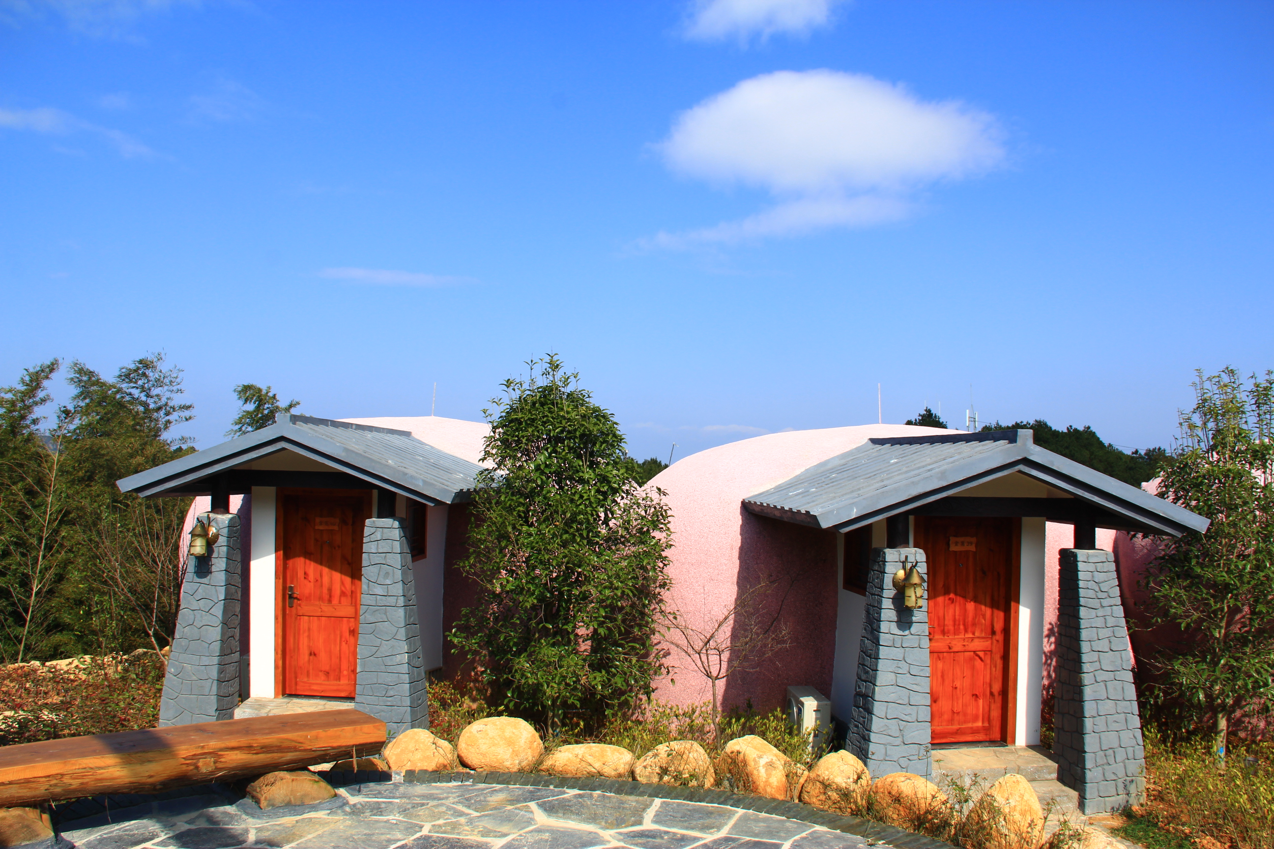 福建儿时的记忆山上的野果,福建山上秋天野果