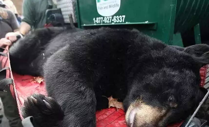 代购骗局揭秘朋友圈,朋友圈里卖低价服装的真相