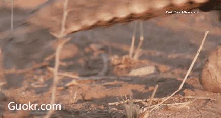 代购骗局揭秘朋友圈,朋友圈里卖低价服装的真相