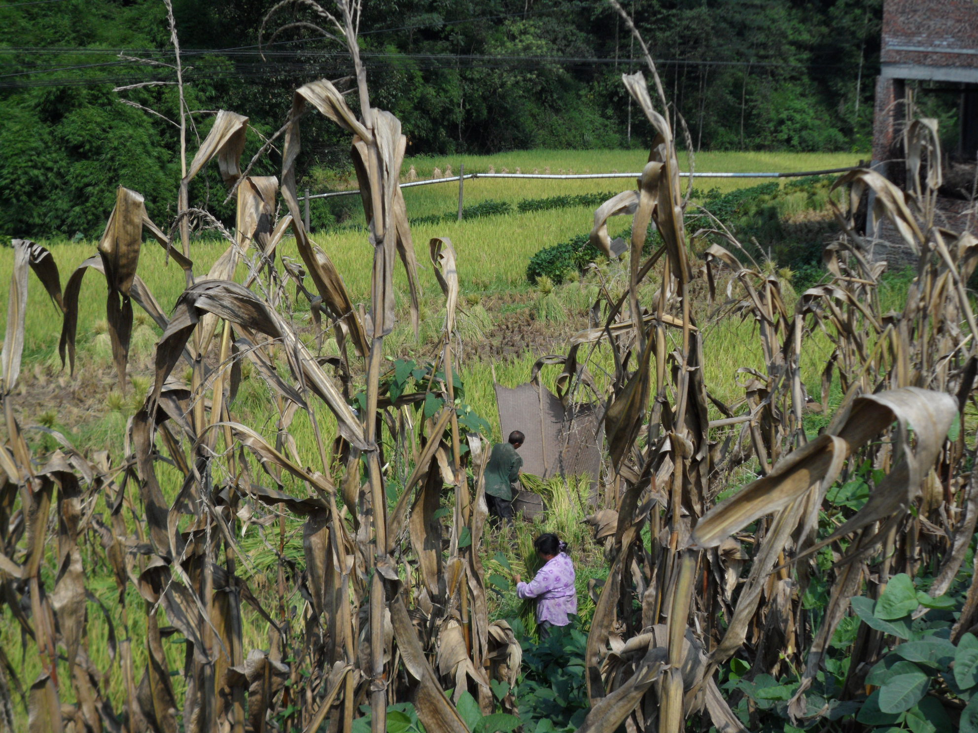 旅行日记徒步西藏,旅行十年笔记