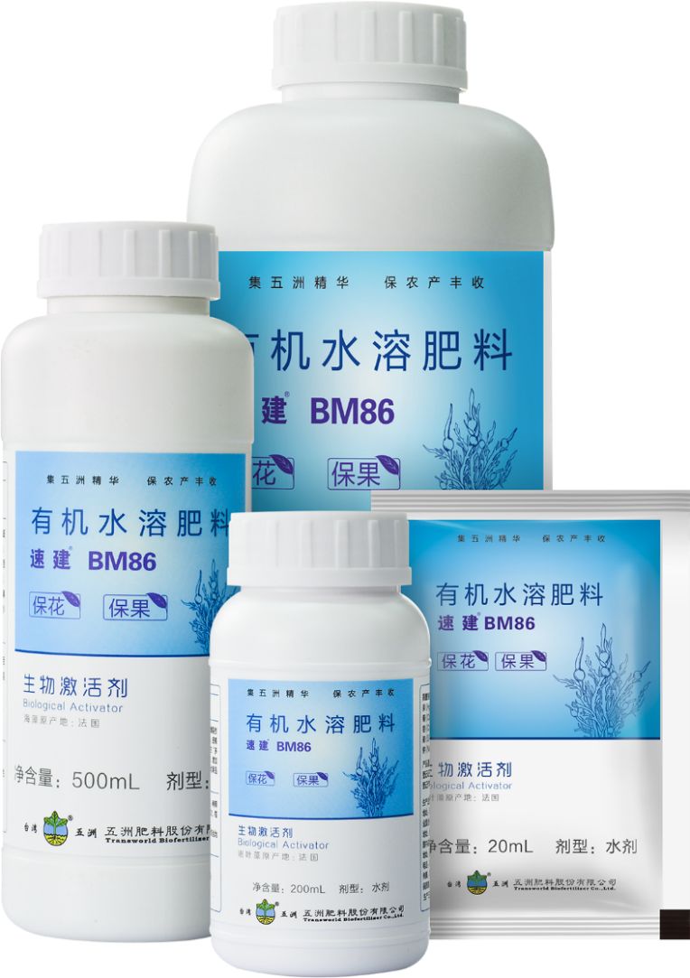 淇濊姳淇濇灉鑶ㄥぇ闃茶,閫熷缓鍔犲浐鏉愭枡