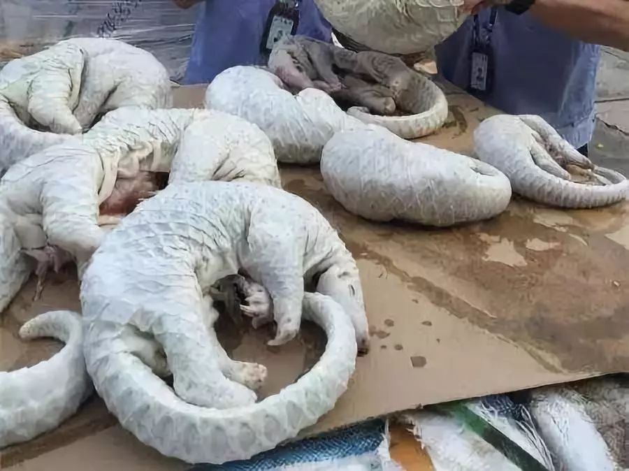 代购骗局揭秘朋友圈,代购十大骗局揭秘图