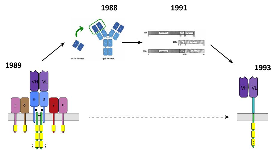 car-t揭秘,car-t大揭秘