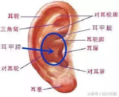 耳朵有个开关,耳朵上的抗老开关