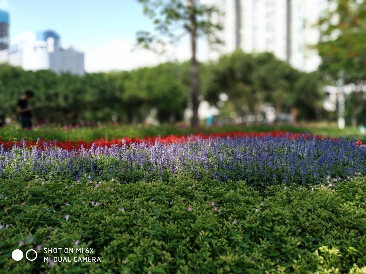 小米6x拍照设置技巧,小米6x拍照好还是红米k40拍照好