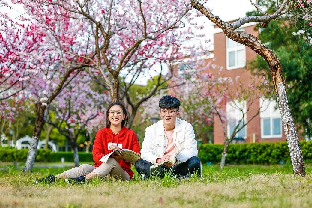 藏在松江叶榭镇里的这所大学，实力越来越厉害了！