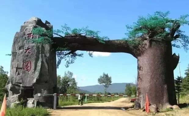 黑龙江好消息在哪里看,外交部黑龙江全球推介活动