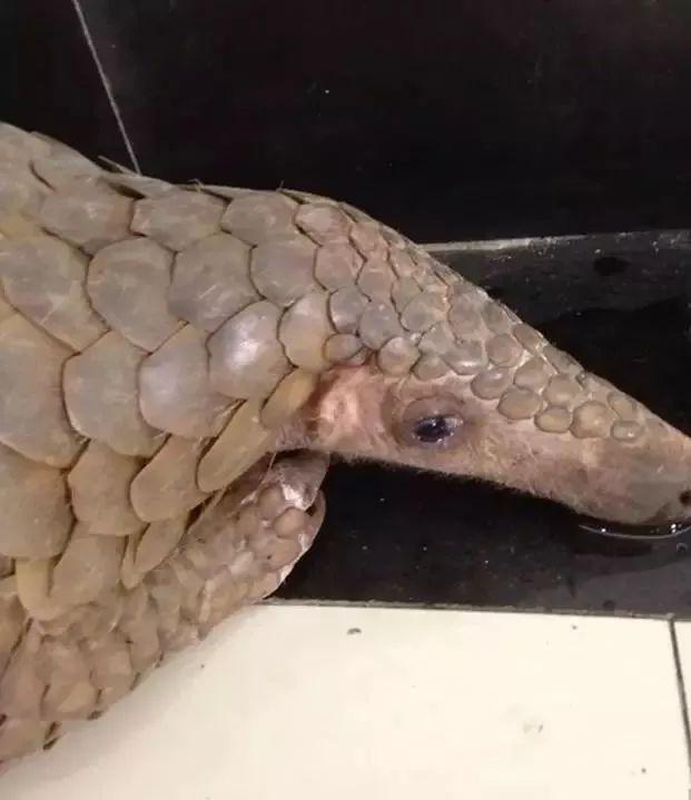 朋友圈里卖低价服装的真相,揭露各种海外代购真相