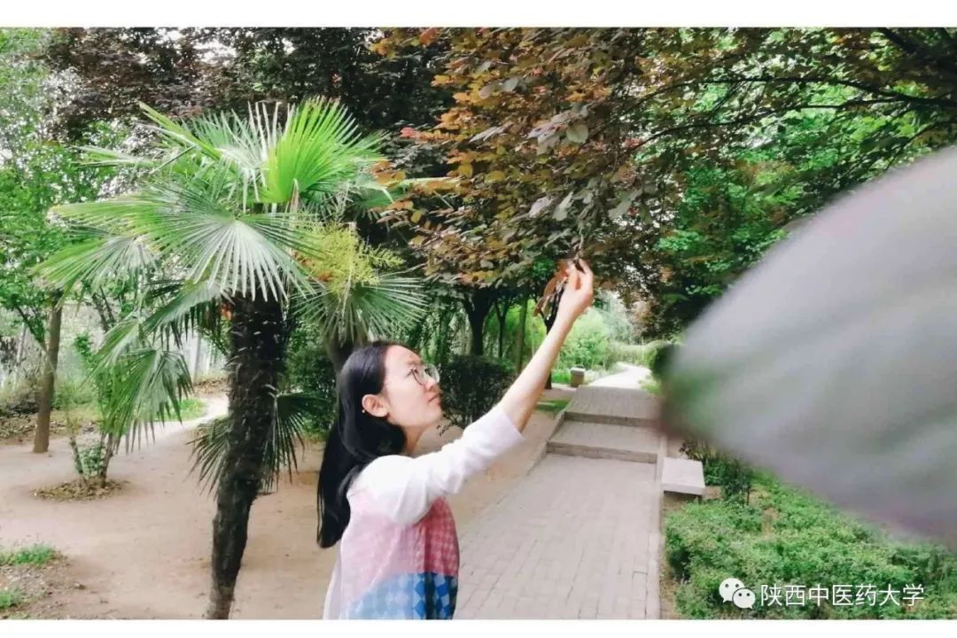 考研深度采访,关于考研专题采访的问题