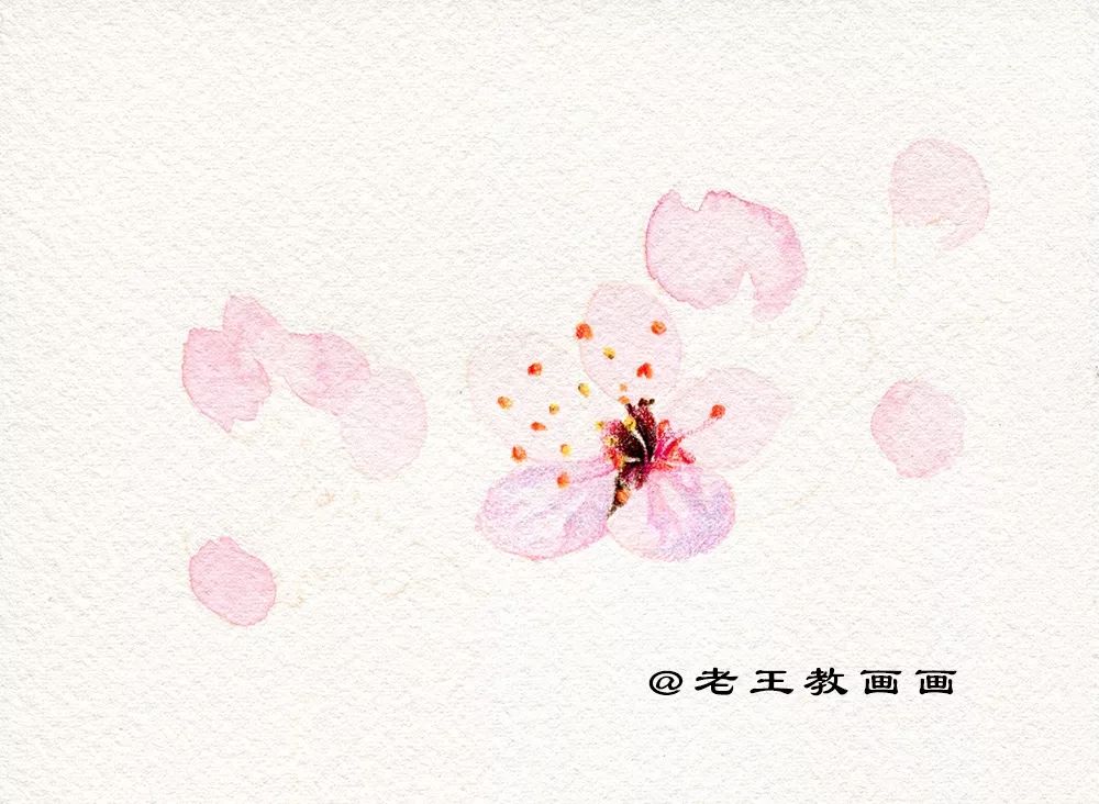 名师教你画桃花,崔老师教你画桃花