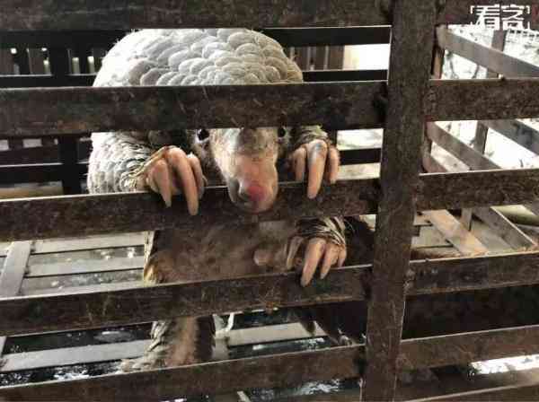 朋友圈里卖低价服装的真相,朋友圈代购低价套路