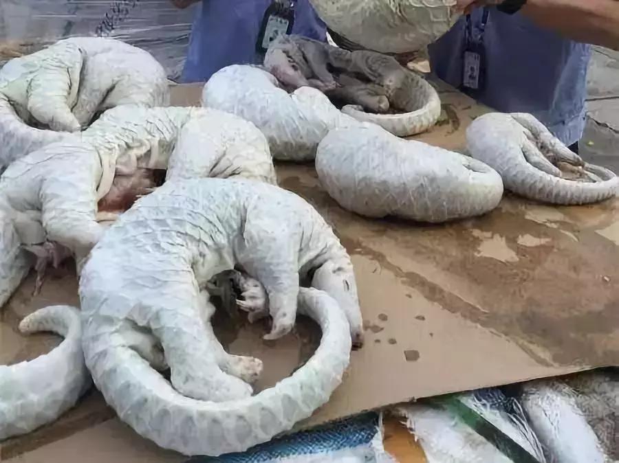 海外代购的暴利秘密 (代购圈乱象)