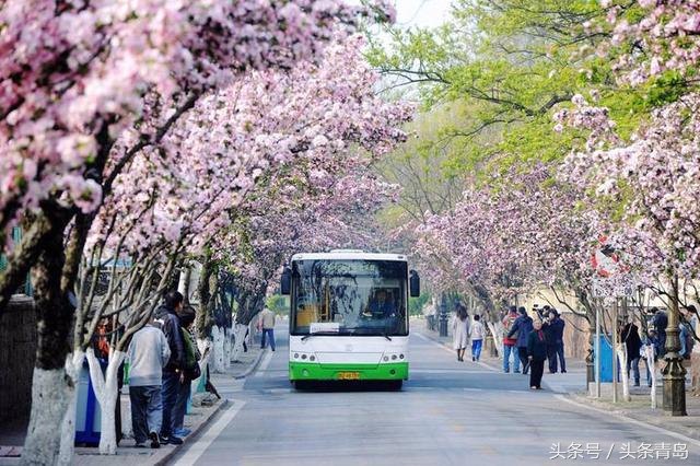 青岛的八大关全景,介绍一下青岛的八大关