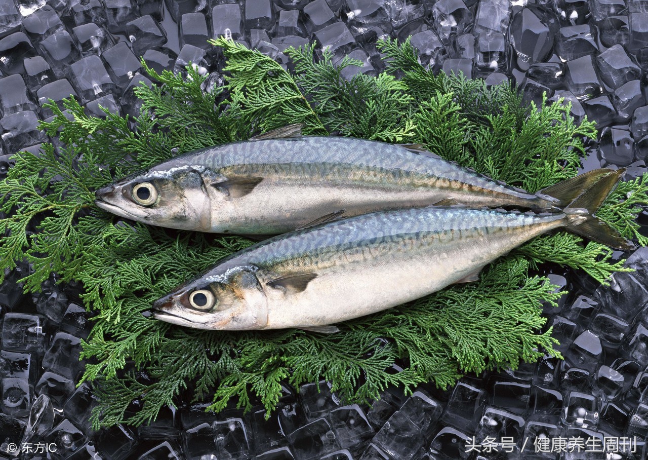 冰冻鱼和冰鲜鱼,冰冻鱼与新鲜鱼营养价值一样吗