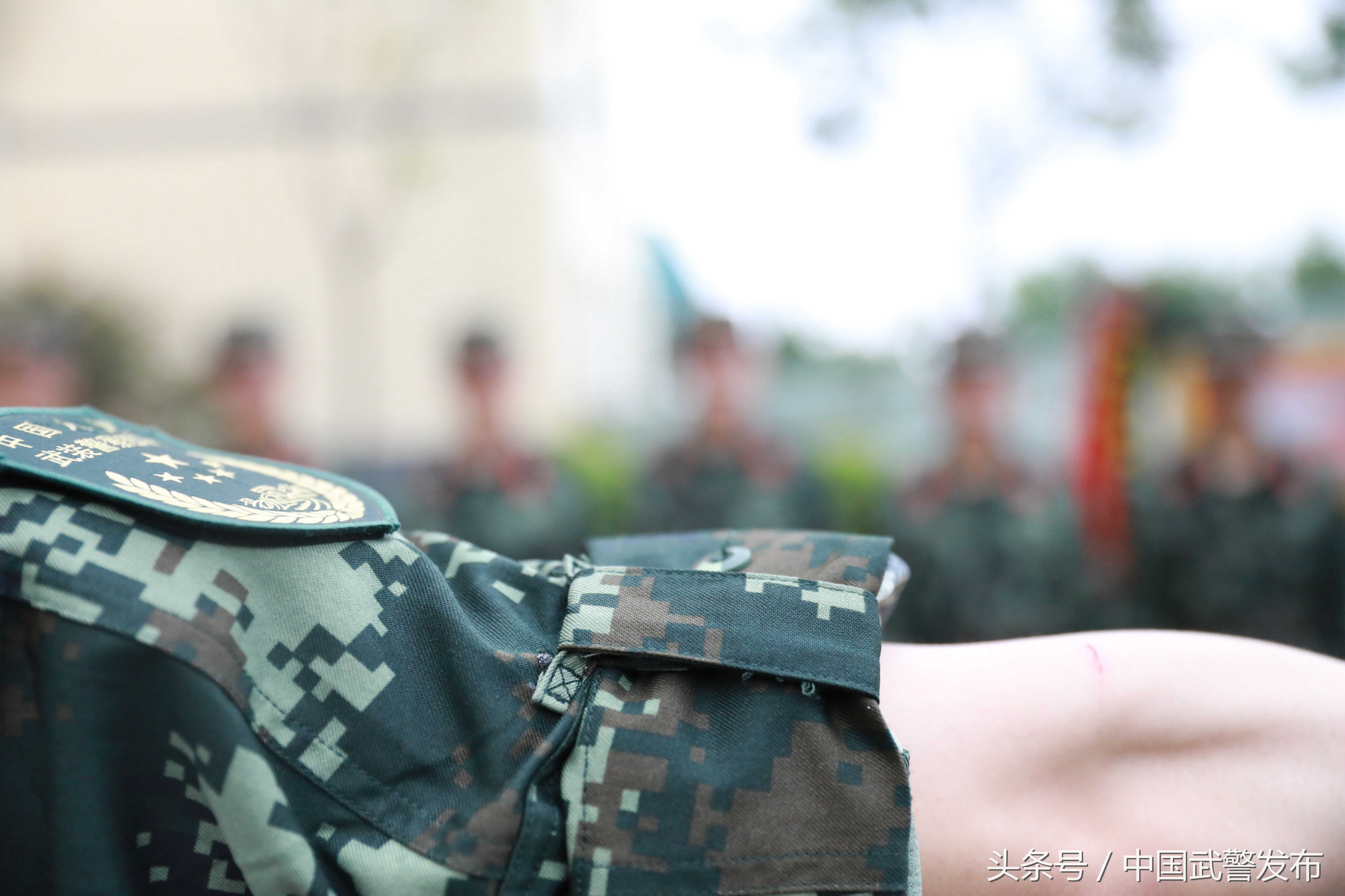 新式迷彩有哪些特点图片,20款新式迷彩