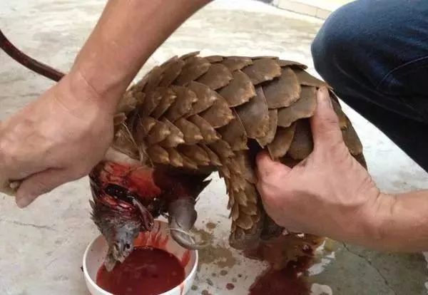 代购骗局揭秘朋友圈,朋友圈里卖低价服装的真相