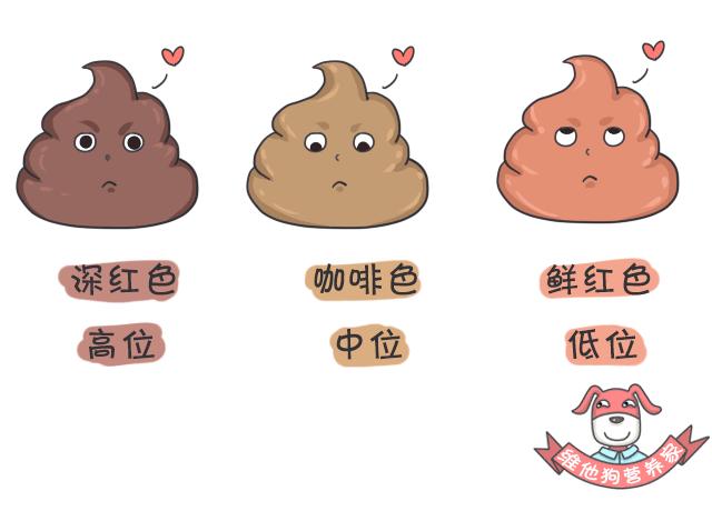 好便便or坏便便儿科医生教你区分,这些肠道知识你知道吗