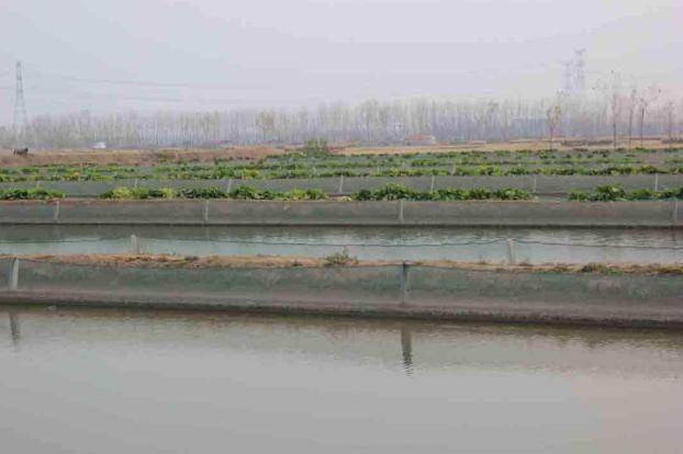 2022年农村养殖创业最好的项目,利润很吓人10个冷门创业项目养殖