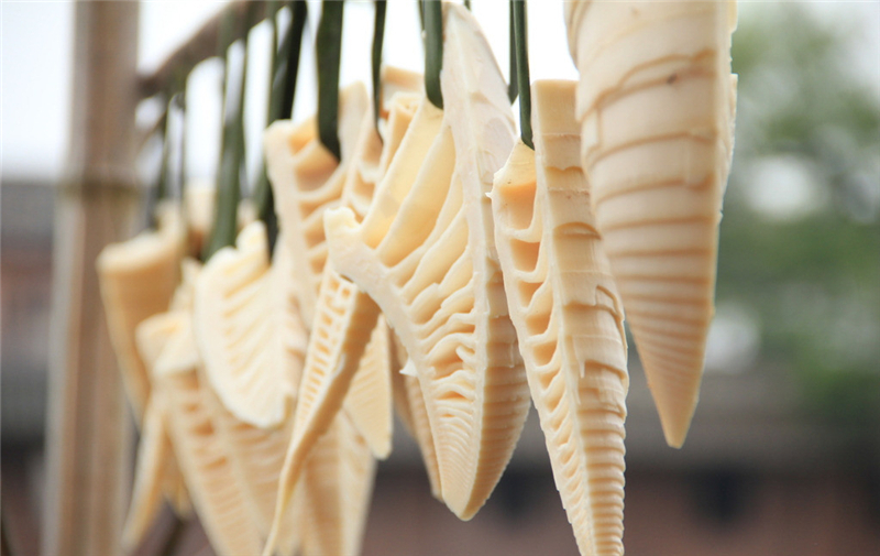 竹笋干和什么菜搭配好吃,不知道鲜笋怎么凉拌的快来看看