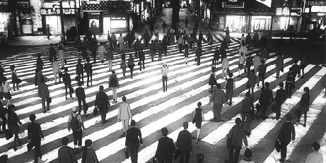 塑料姐妹花还不是一般的塑料,塑料姐妹花实际上是铁姐妹