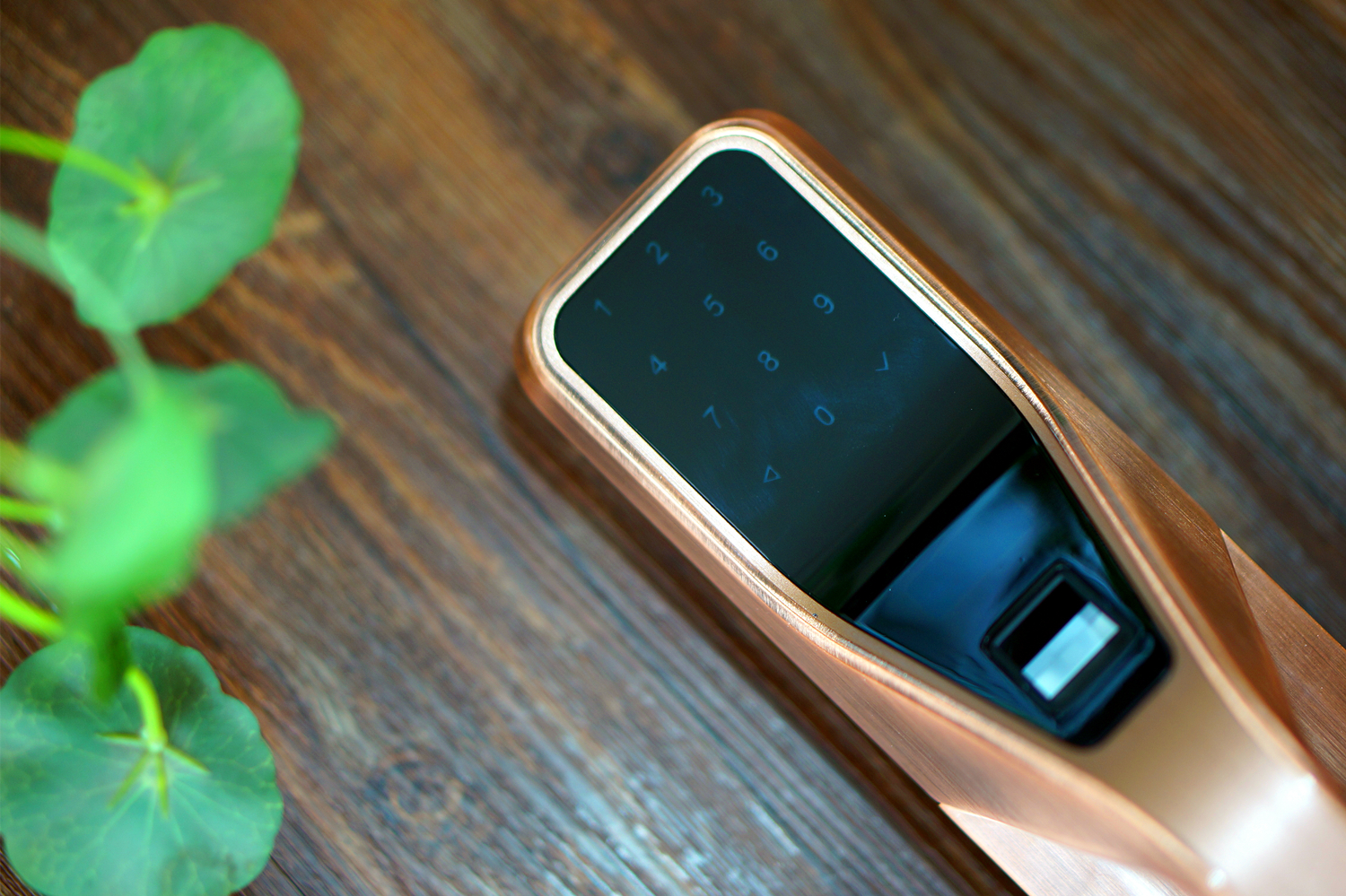 温馨港湾的守护神：六孚方程式指纹防盗锁体验报告