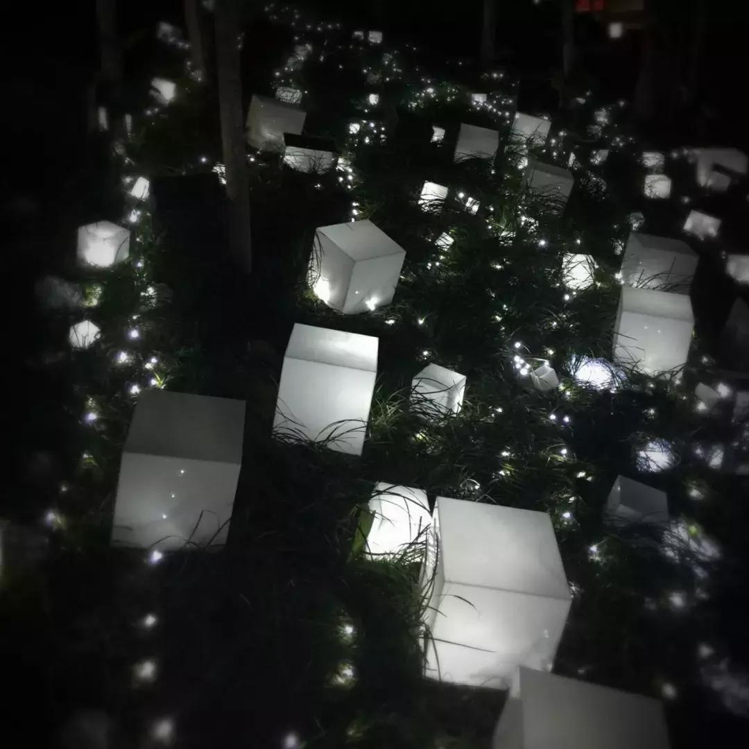 南艺你不知道的事,南艺的真实生活