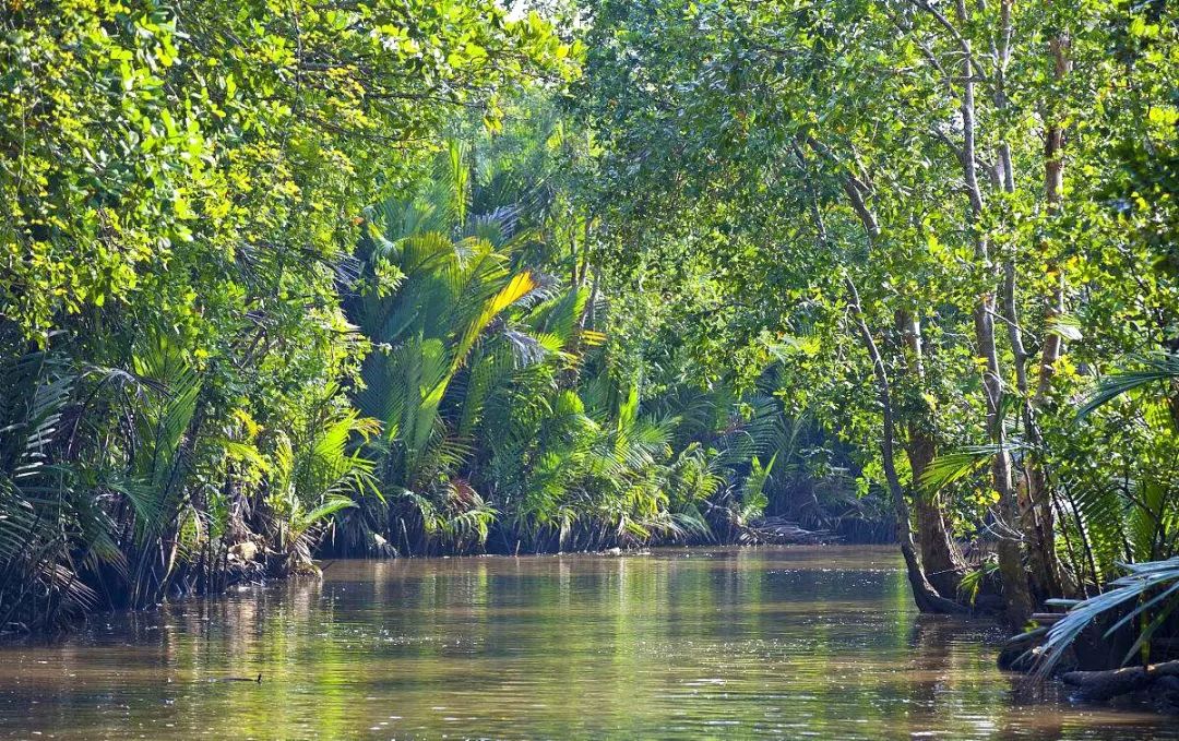 让人沉醉的沙巴,沙巴好地方