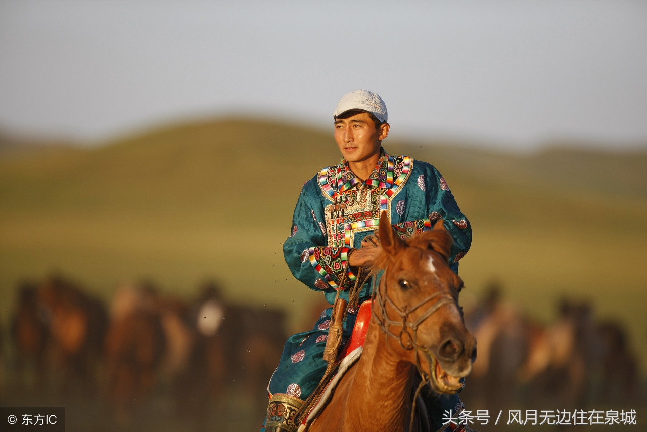 蒙古马和套马图片,蒙古套马绳子教学