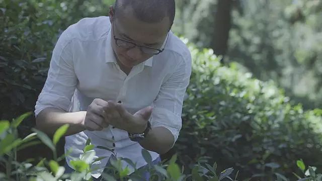 他找来浙大团队,用茶研发洗护用品,成了日本人都在代购的新国货