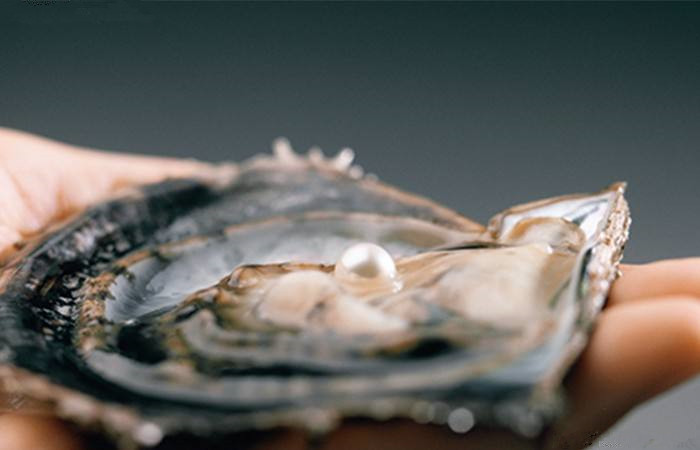 御木本是一线品牌吗,御木本经典产品