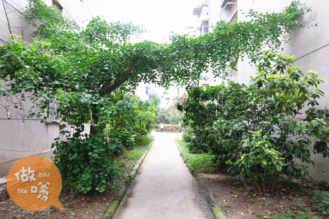 听说你住在兰陵？那我真的很羡慕你