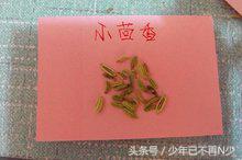 麻辣烫做法和配方开店教程,麻辣烫的做法和配方开店