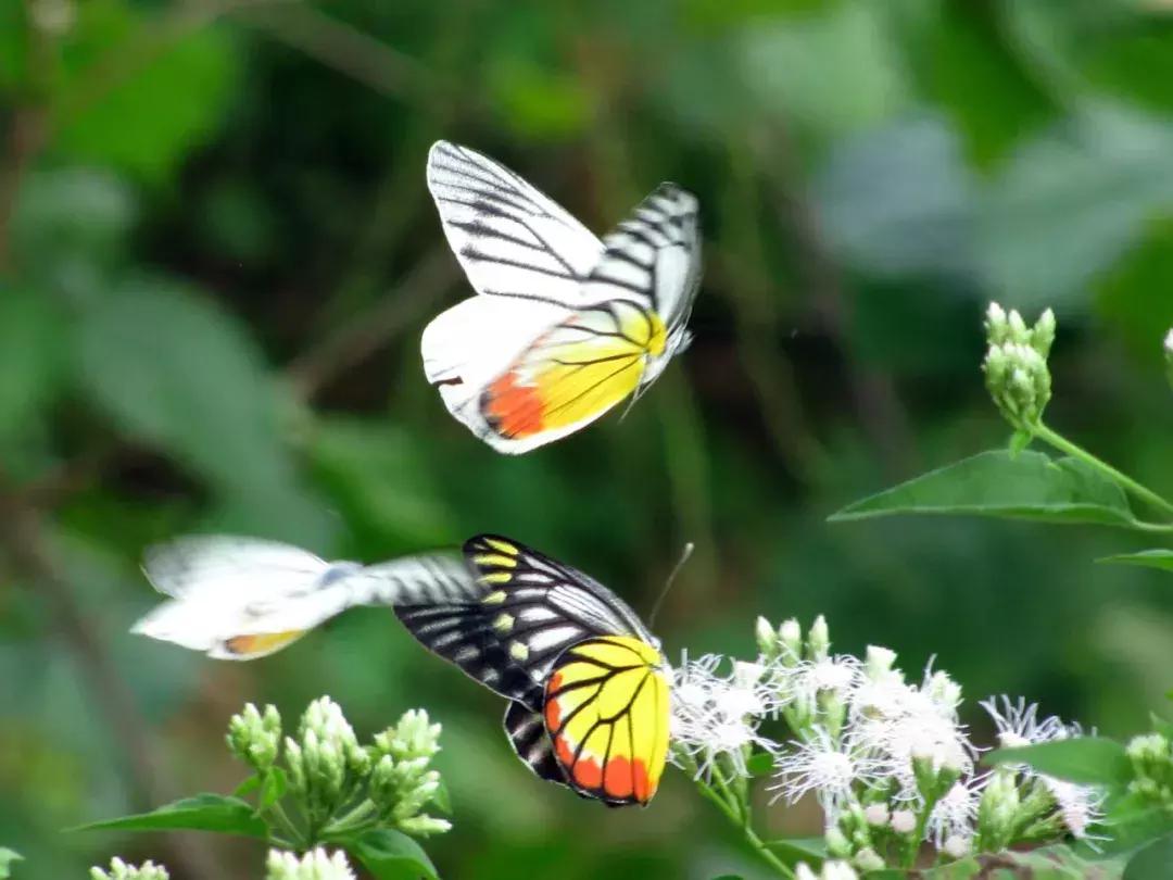 吊水壶周日游推荐,吊水壶