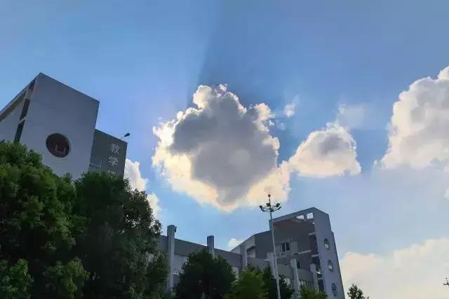 安徽阜阳五中学校好吗,阜阳五中是哪个镇