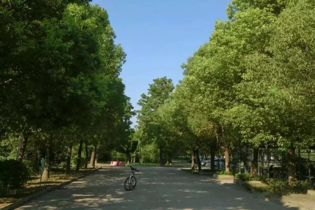 阜阳五中是哪个镇,阜阳五中口碑怎么样