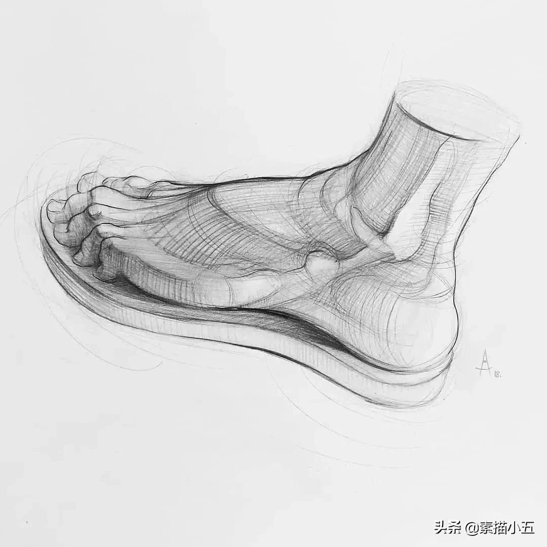 他画的素描无与伦比,他画的画栩栩如生让人拍案叫绝