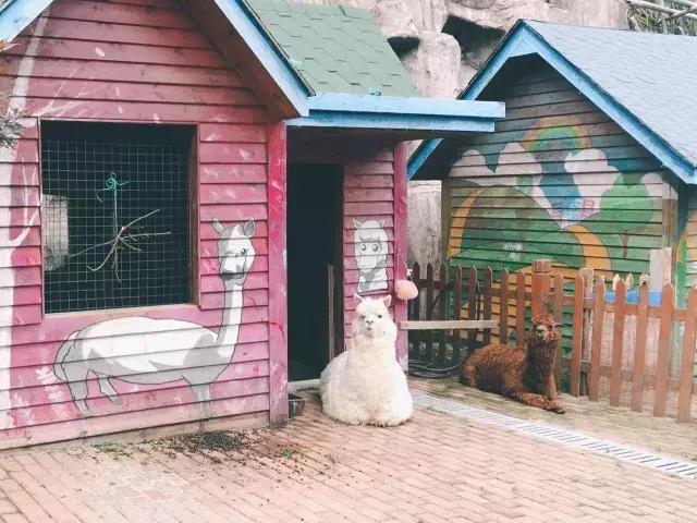 六一美食节互动嗨场,六一运动会嘉年华