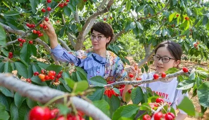 赣榆赶海海葵,自驾游露营野炊赶海