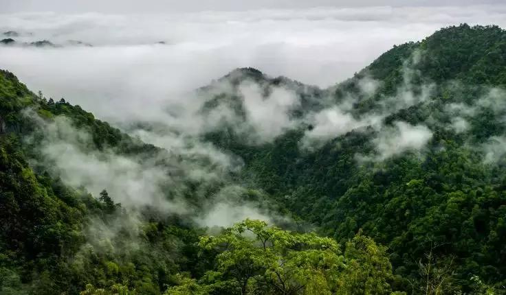 怀化的地名有哪些,怀化地名的由来