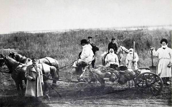 土拨鼠体内含有的细菌有多可怕,土拨鼠致命细菌